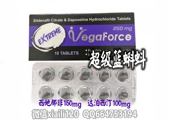 超级蓝蝌蚪